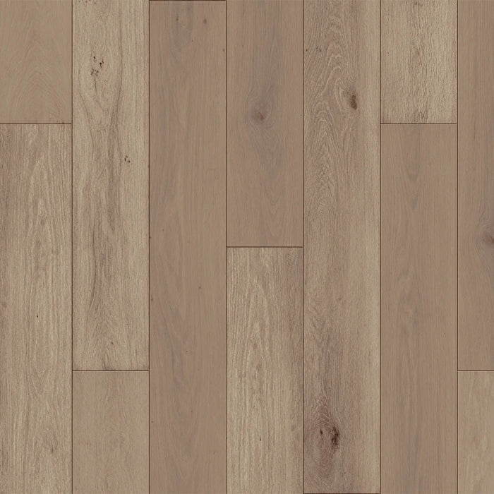 DuChateau - The Guild - Portfolio Collection - Marais