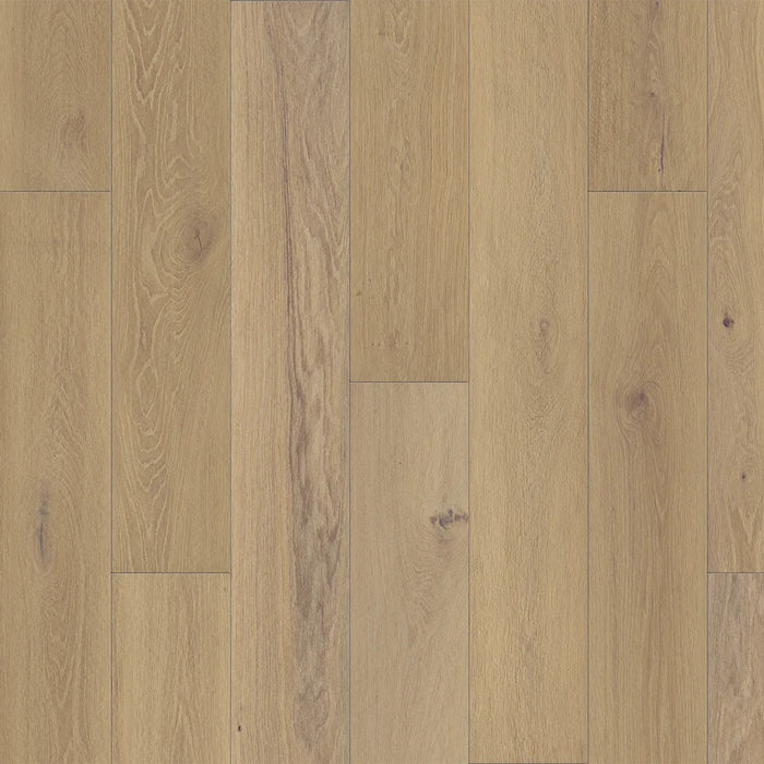 DuChateau - The Guild - Portfolio Collection - Solenne