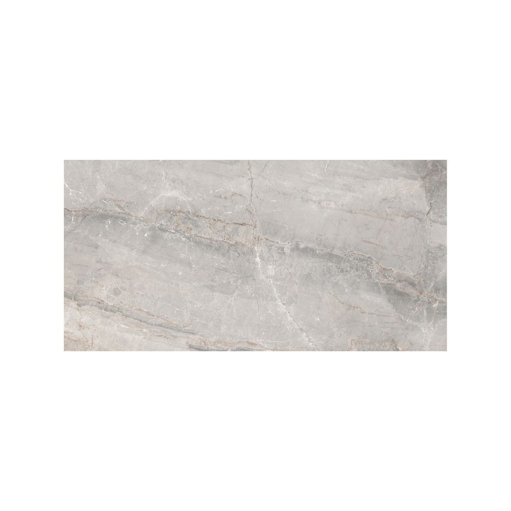 Cobsa - Sylvia Series 24 in. x 48 in. Rectified Porcelain Tile - Polished Silver