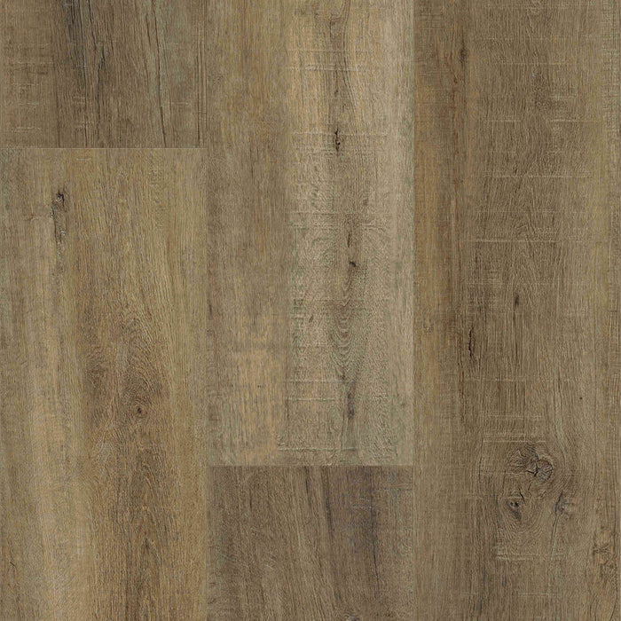 Eagle Creek - Grandiose Collection 8-7/8" - Echols