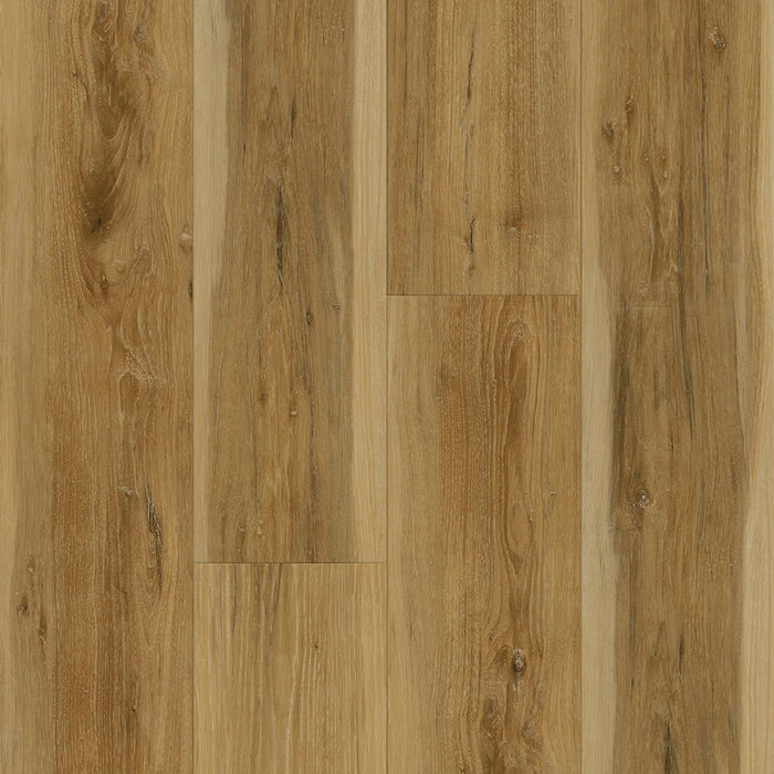 Eagle Creek - Foundations Plus Collection - Caramel Hickory