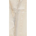 Elysium - Akoya Series - 12 in. x 24 in. Matte Rectified Porcelain Tile - Ivory