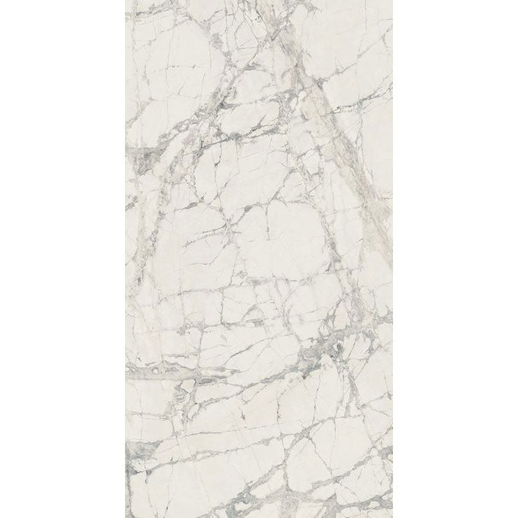 Elysium - Prexious - 12 in. x 24 in. Rectified Porcelain Tile - Mountain Treasure Glossy