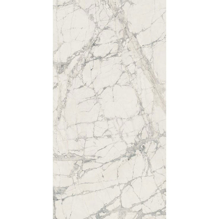 Elysium - Prexious - 12 in. x 24 in. Rectified Porcelain Tile - Mountain Treasure Glossy