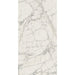 Elysium - Prexious - 12 in. x 24 in. Rectified Porcelain Tile - Mountain Treasure Glossy