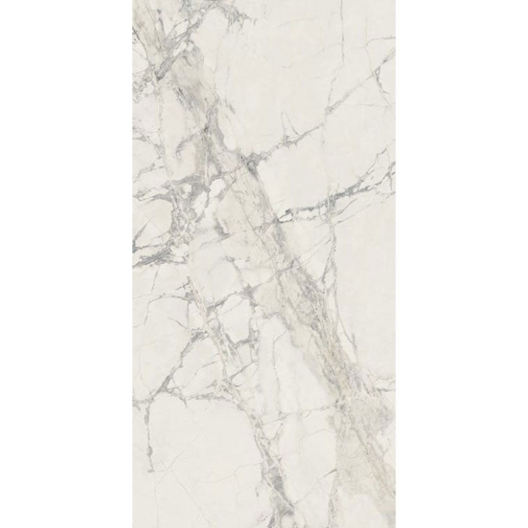 Elysium - Prexious - 12 in. x 24 in. Rectified Porcelain Tile - Mountain Treasure Matte