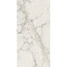 Elysium - Prexious - 12 in. x 24 in. Rectified Porcelain Tile - Mountain Treasure Matte