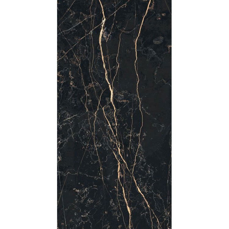 Elysium - Prexious - 12 in. x 24 in. Rectified Porcelain Tile - Thunder Night Glossy