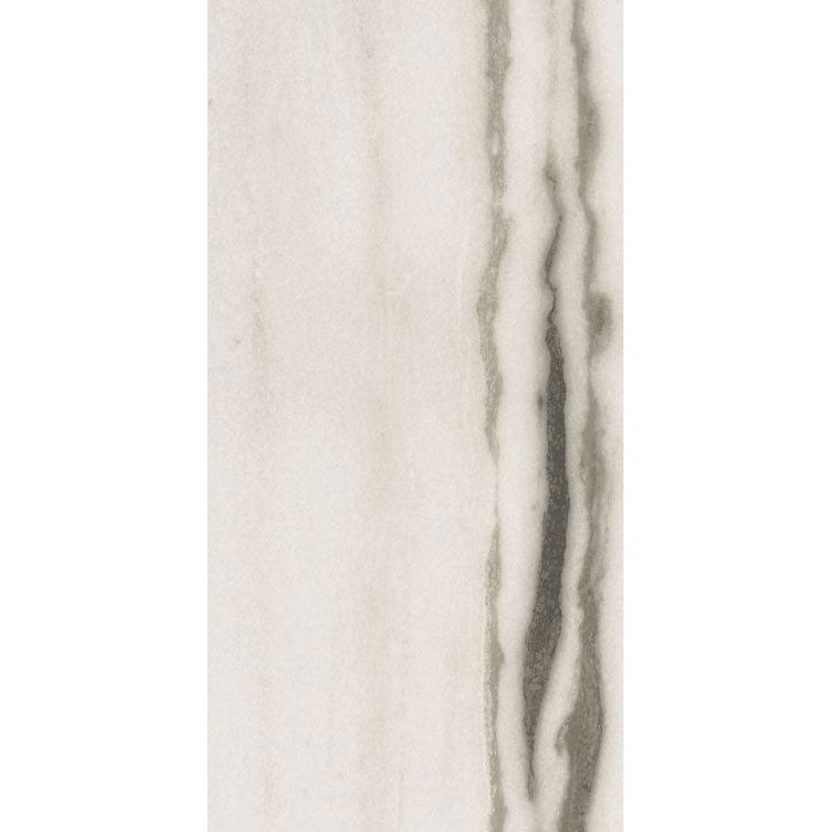 Elysium - Prexious - 12 in. x 24 in. Rectified Porcelain Tile - White Fantasy Matte