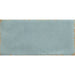 Emser Tile - Antigo - 2 in. x 5 in. Ceramic Wall Tile - Mist