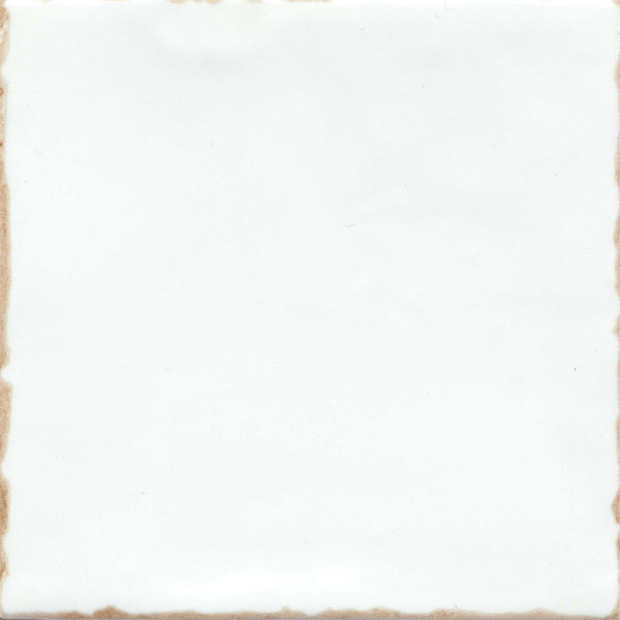 Emser Tile - Antigo - 5 in. x 5 in. Ceramic Wall Tile - Snow