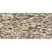 Emser Tile - Zambia - 24 in. x 47 in. Porcelain Wall Tile - Leopard