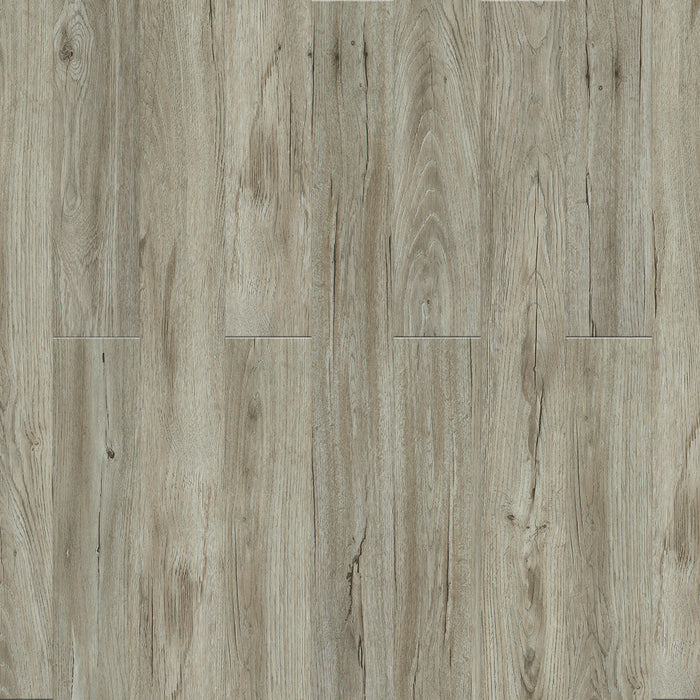 Engineered Floors - Triumph Collection - The New Standard II - 6 in. x 48 in. - Paradise