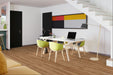 Engineered Floors - Antiquity - 7 in. x 60 in. - Luxury Vinyl - Cityscape Installed