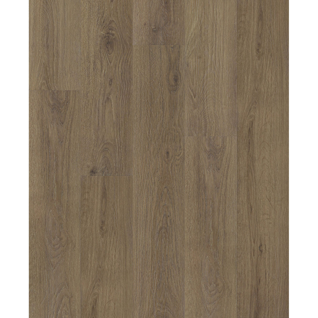 Jackson Vinyl - Succession - 7 in. x 60 in. - Throne — Floorzz