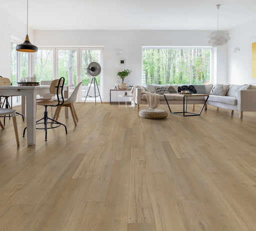 サルート【ライオンキング】E75&ソングL VI 30 リッチヴェール サルート【ライオンキング】E75&ソングL VI 30 リッチヴェール