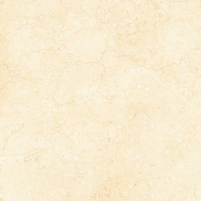 Tesoro - Bejha Series - 24" x 24" Matte Porcelain Tile - Fiorito