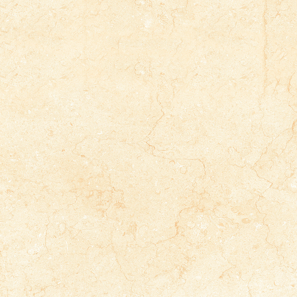 Tesoro - Bejha Series - 12&quot; x 24&quot; Matte Porcelain Tile - Fiorito