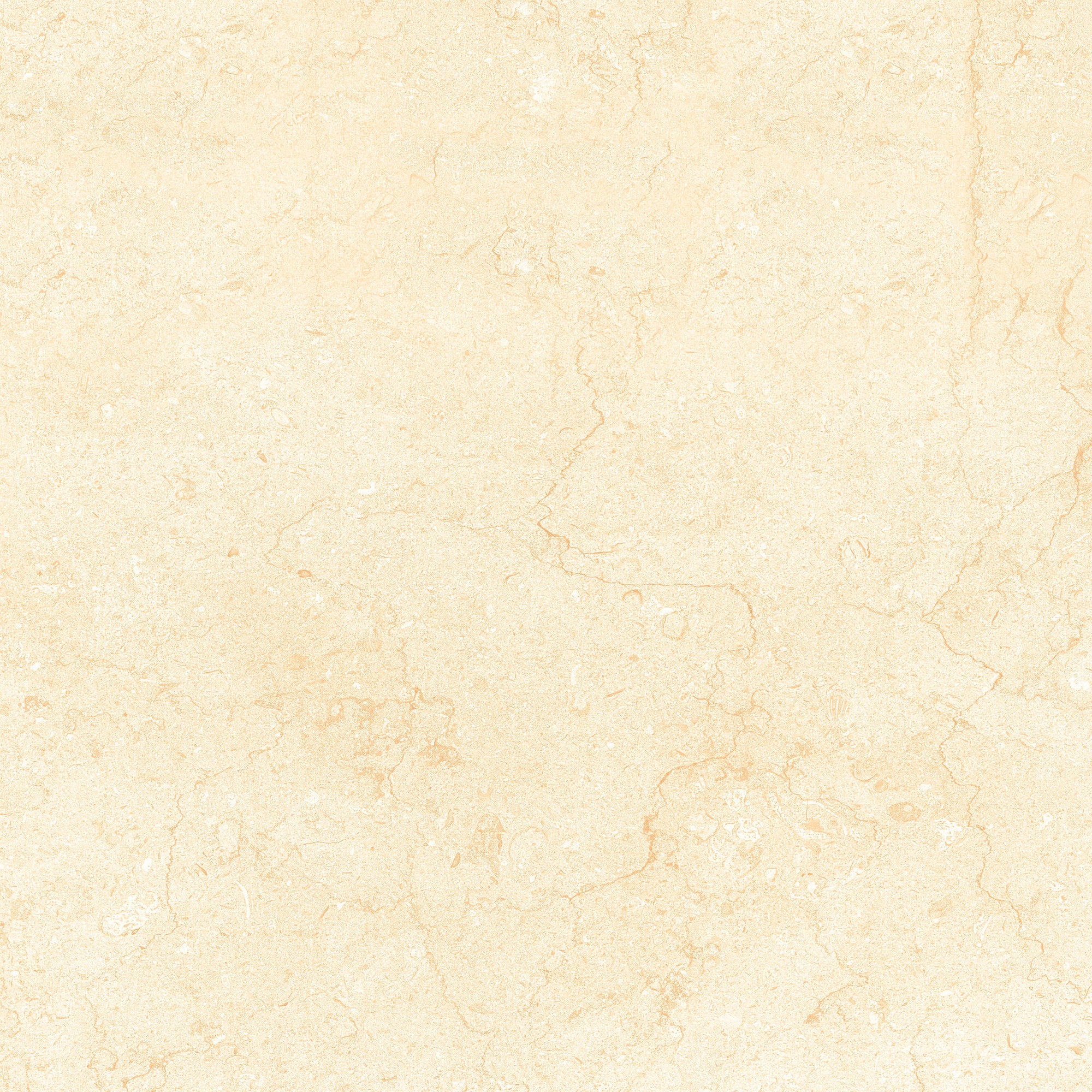 Tesoro - Bejha Series - 12" x 24" Matte Porcelain Tile - Fiorito