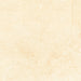 Tesoro - Bejha Series - 12" x 24" Matte Porcelain Tile - Fiorito