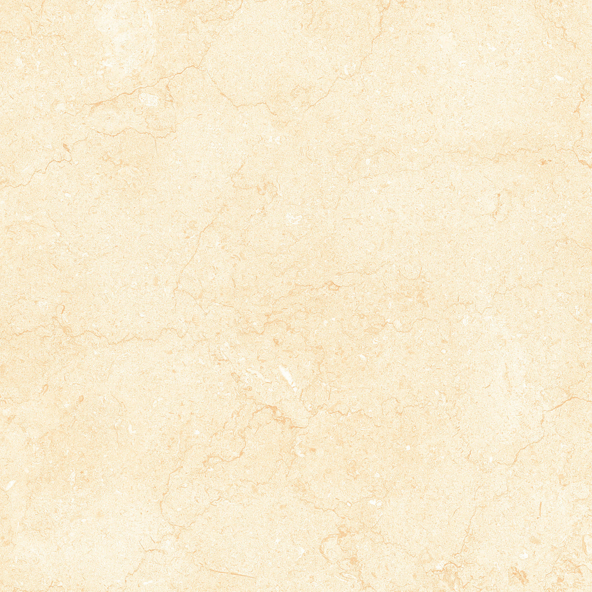 Tesoro - Bejha Series - 12&quot; x 24&quot; Polished Porcelain Tile - Fiorito