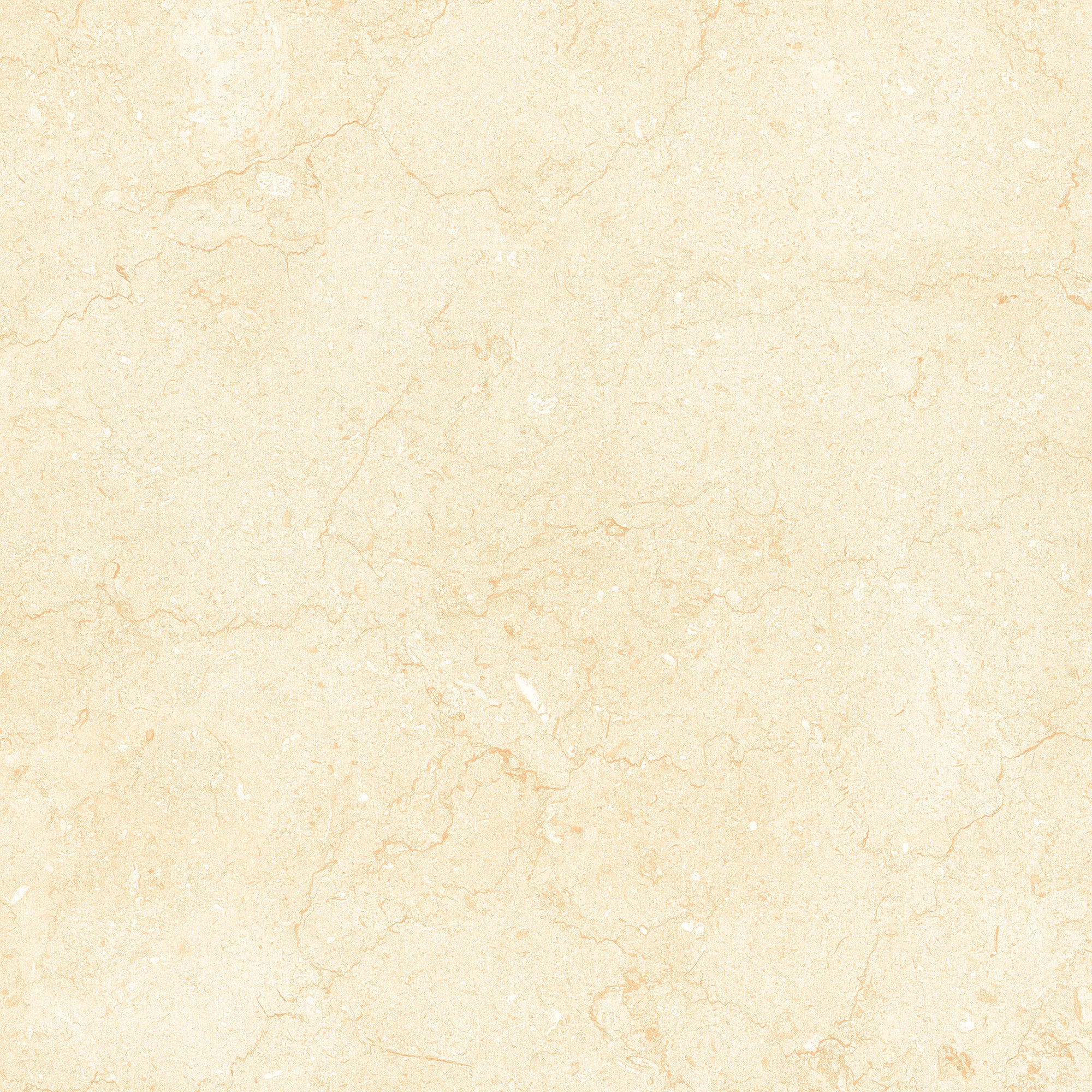 Tesoro - Bejha Series - 12" x 24" Polished Porcelain Tile - Fiorito