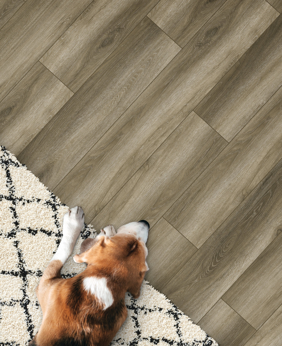 Floors 2000 - Grove Collection 7 in. x 48 in. Luxury Vinyl - Smoke floor installation