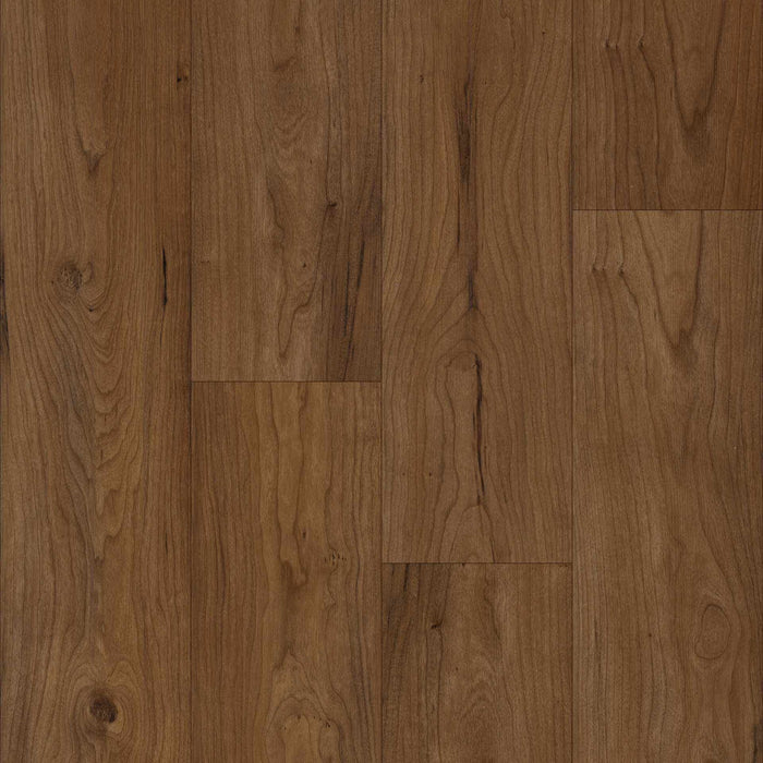 Happy Feet - Stone Elegance II SPC - Harvest Oak HF458V