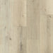 Happy Feet - Stone Elegance II SPC - Plantation Oak HF461V