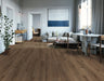 Happy Feet - All Star II LVP - Gunstock HF255 Room Scene