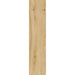 Moma Ceramiche - Oak - 8" x 36" Wood Look Porcelain Tile - Blonde