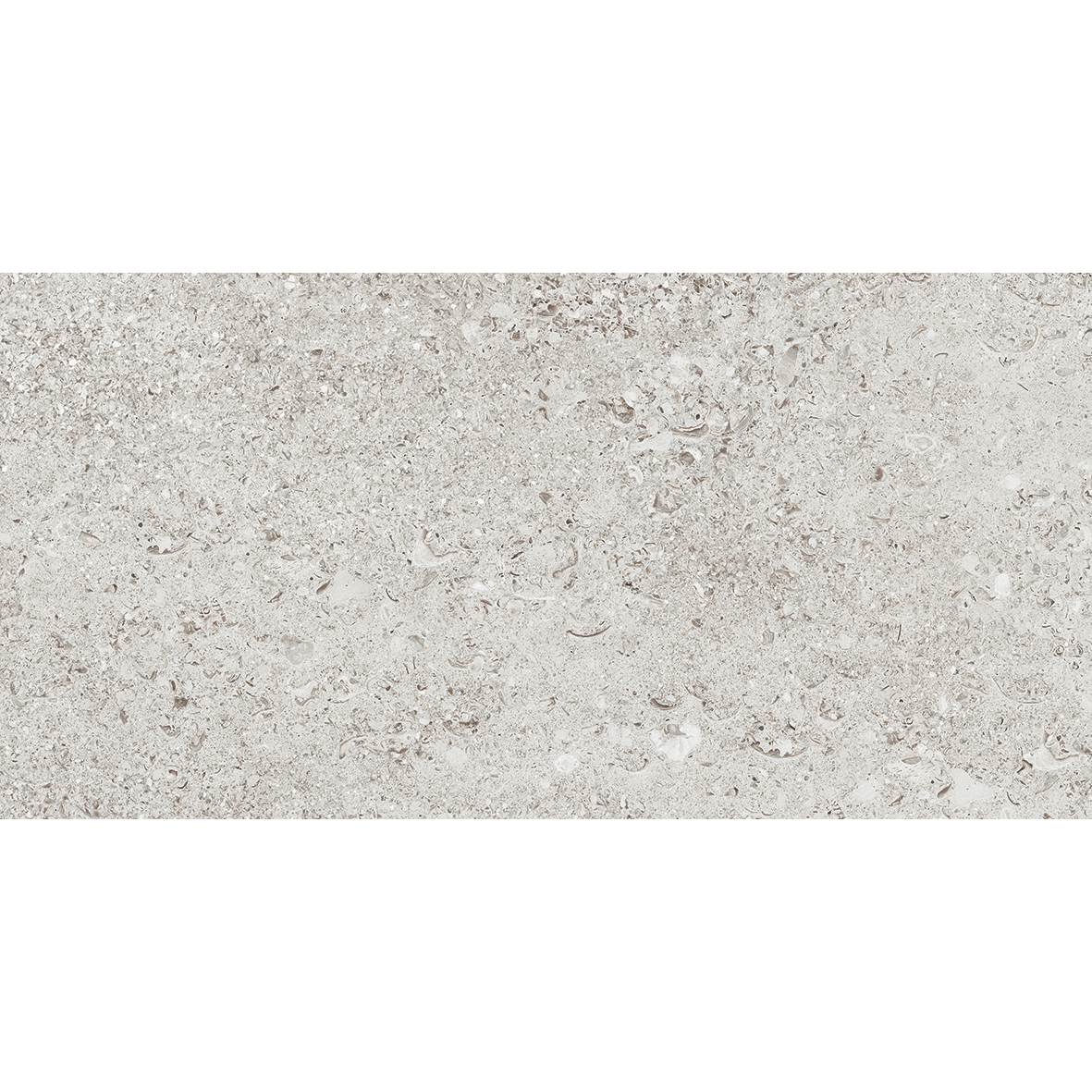 Tesoro - Shellstone Series - 24 in. x 48 in. Rectified Porcelain Tile - White