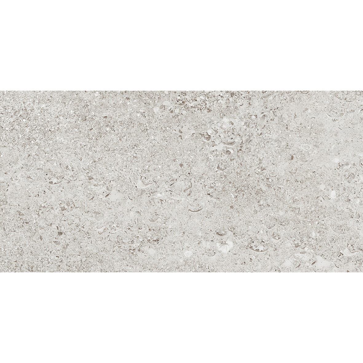 Tesoro - Shellstone Series - 24 in. x 48 in. Rectified Porcelain Tile ...