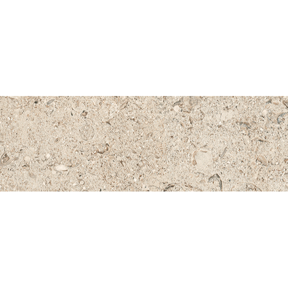 Tesoro - Shellstone Series - 24 in. x 24 in. Rectified Porcelain Tile - Amber