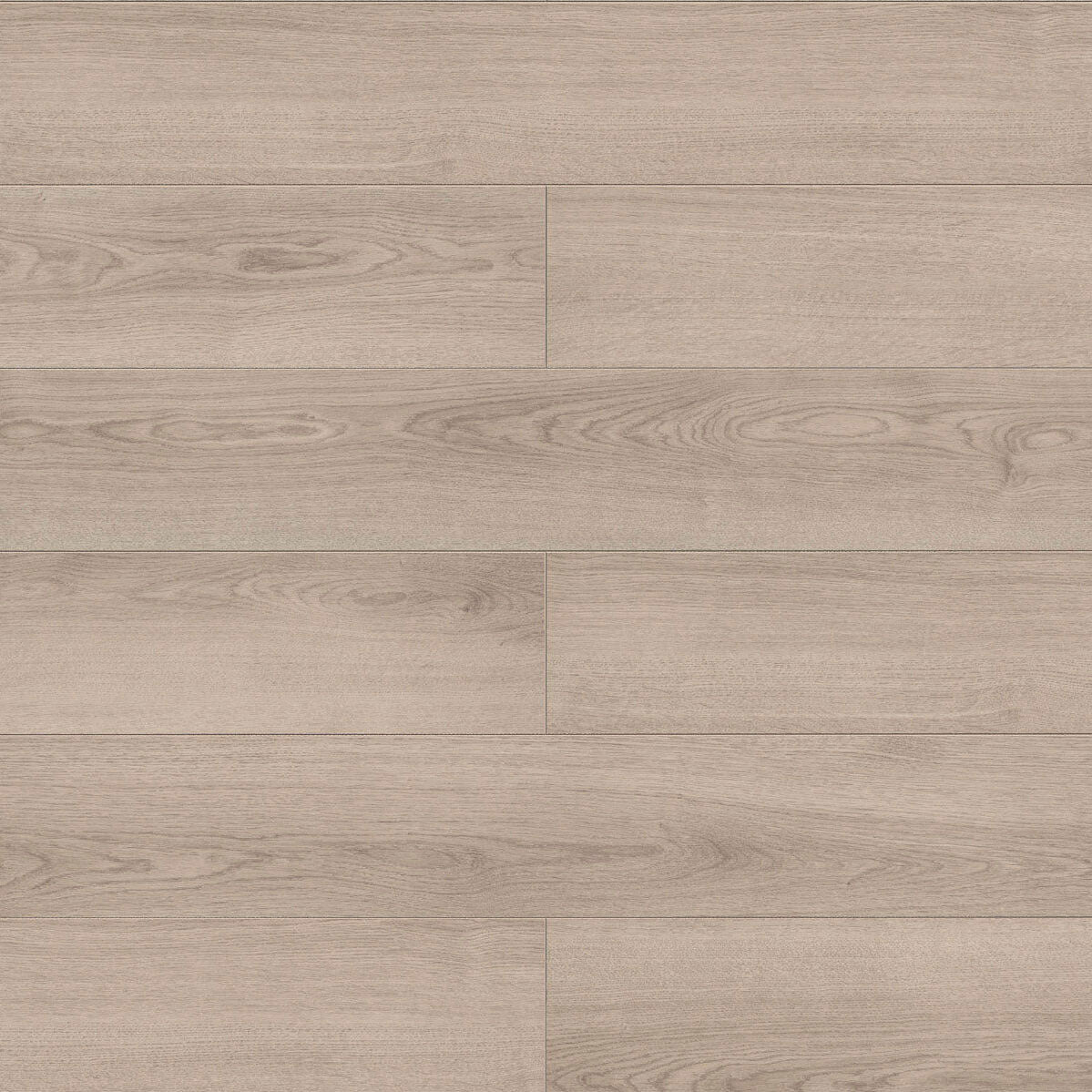 Inhaus - Solido Visions Collection With Pad - Adelaide — Floorzz