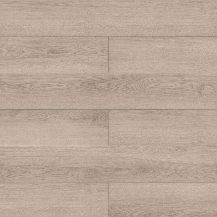 Inhaus - Solido Visions Collection With Pad - Adelaide