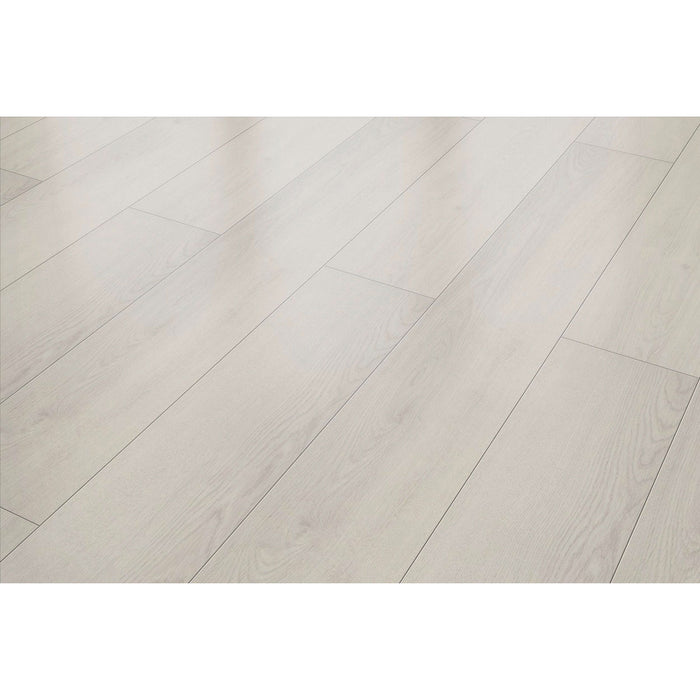 Inhaus - Solido Visions Collection With Pad - Darwin