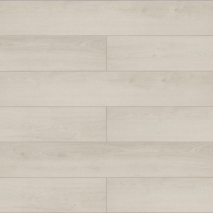 Inhaus - Solido Visions Collection With Pad - Darwin