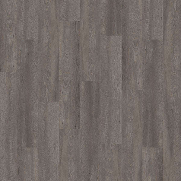 Palmetto Road - Journey Collection - Compass