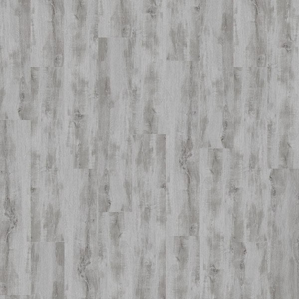 Palmetto Road - Journey Collection - Safari