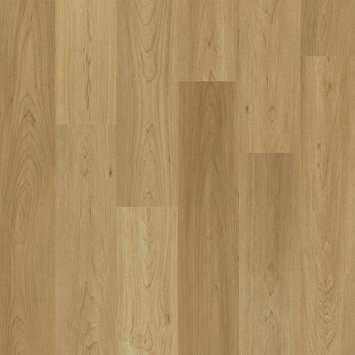 Engineered Floors - Empower Collection - 7 in. x 48 in. - Charlotte