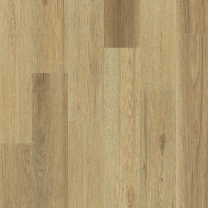 Engineered Floors - Empower Collection - 7 in. x 48 in. - Frederick