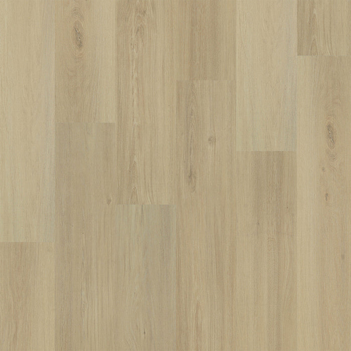 Engineered Floors - Restore Collection - 9 in. x 60 in. - Sydney
