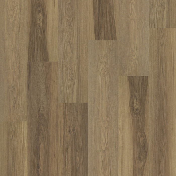 Engineered Floors - Restore Collection - 9 in. x 60 in. - Bristol