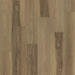 Engineered Floors - Restore Collection - 9 in. x 60 in. - Bristol