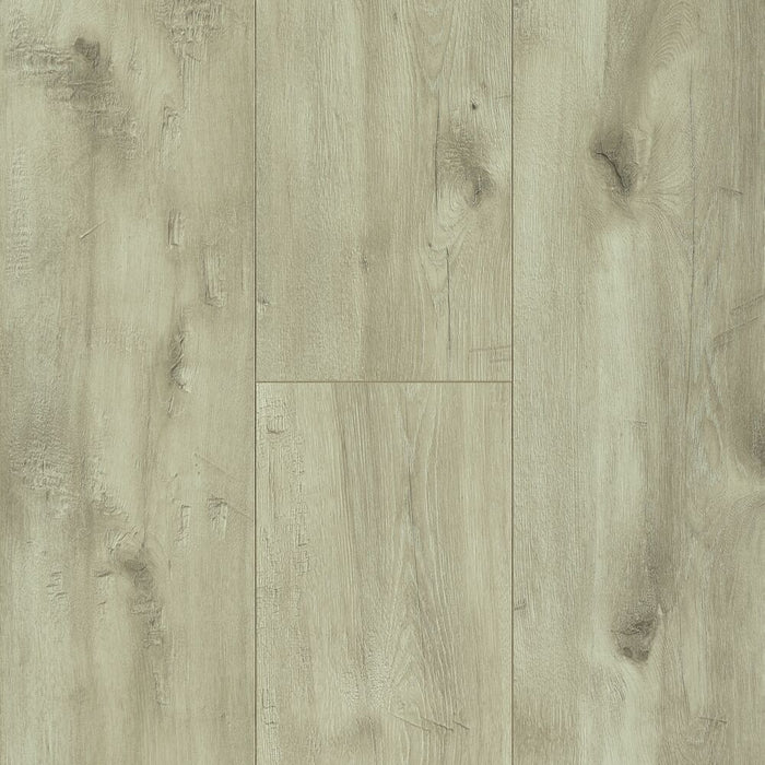 Bruce - TimberTru Landscape Traditions - 8.03 in. x 47.6 in. - Laminate - Branch Forest