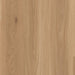 Lions Floor - District 7 1/4" x 48" Luxury Vinyl Plank - Ardmore