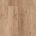 Lions Floor - Formalay 9" x 60" Loose Lay - Apex Form