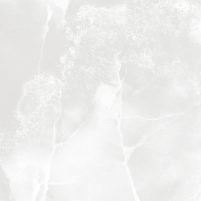 Tesoro - Lizart Series - 24 in. x 24 in. Matte Rectified Porcelain