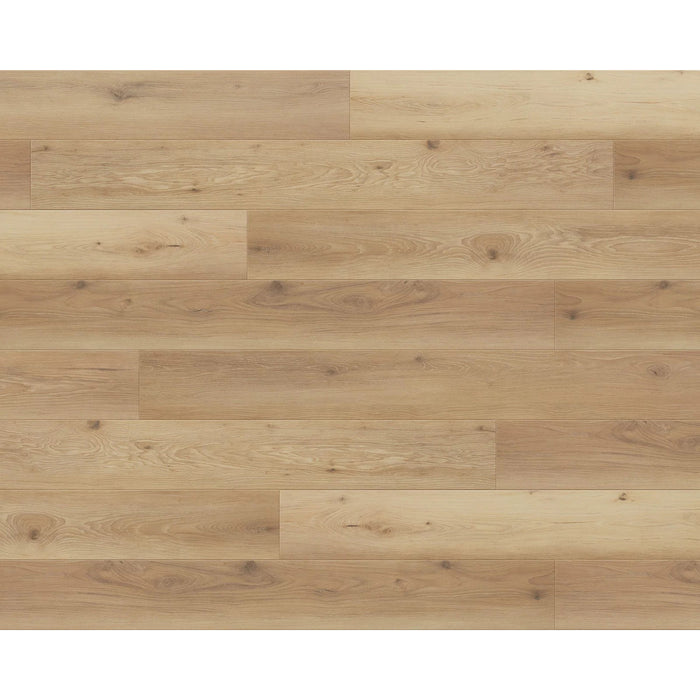 LW Flooring - Odyssey Laminate - Windsor
